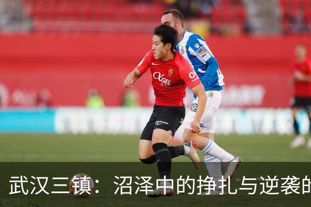 武汉三镇：沼泽中的挣扎与逆袭的焦虑